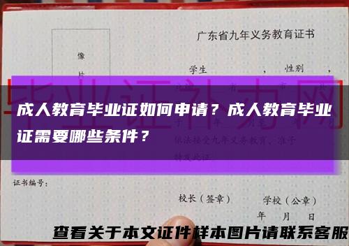 成人教育畢業證如何申請？成人教育畢業證需要哪些條件？縮略圖