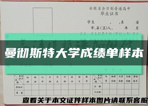 曼徹斯特大學成績單樣本縮略圖
