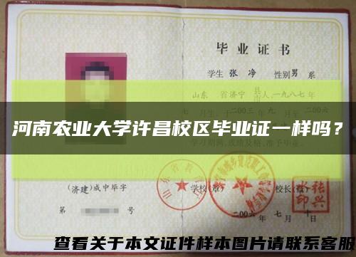 河南農業大學許昌校區畢業證一樣嗎？縮略圖