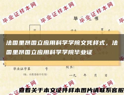 法國里昂國立應用科學學院文憑樣式，法國里昂國立應用科學學院畢業證縮略圖