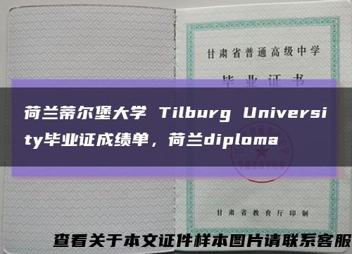 荷蘭蒂爾堡大學 Tilburg University畢業證成績單，荷蘭diploma縮略圖