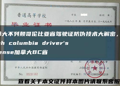 加拿大不列顛哥倫比亞省駕駛證防偽技術大解密，british columbia driver's license加拿大BC省縮略圖