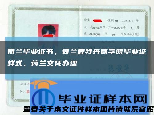 荷蘭畢業證書，荷蘭鹿特丹商學院畢業證樣式，荷蘭文憑辦理縮略圖