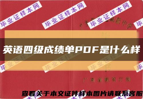 英語四級成績單PDF是什么樣縮略圖