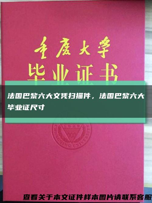 法國巴黎六大文憑掃描件，法國巴黎六大畢業證尺寸縮略圖
