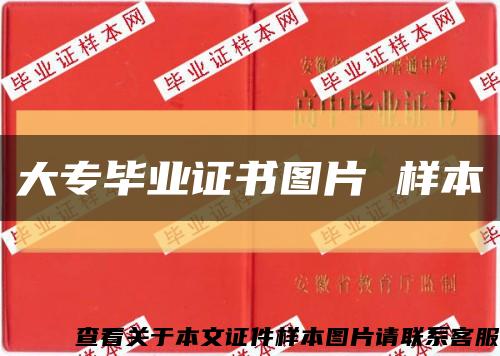 大專畢業證書圖片 樣本縮略圖