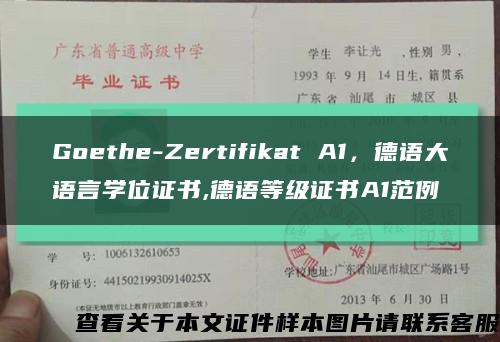 Goethe-Zertifikat A1，德語大語言學位證書,德語等級證書A1范例縮略圖