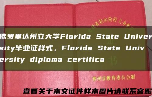 佛羅里達州立大學Florida State University畢業證樣式，Florida State University diploma certifica縮略圖
