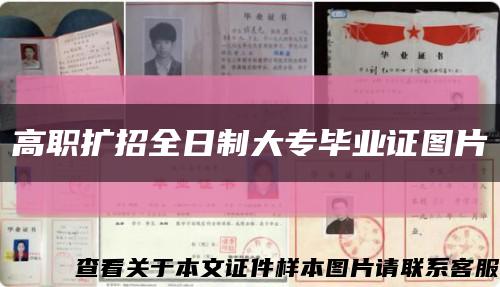 高職擴招全日制大專畢業證圖片縮略圖