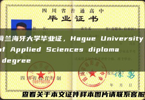 荷蘭海牙大學畢業證，Hague University of Applied Sciences diploma degree縮略圖