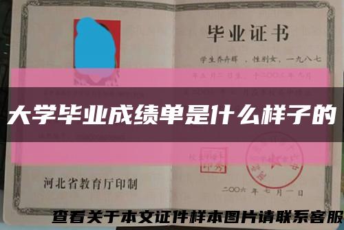 大學畢業成績單是什么樣子的縮略圖