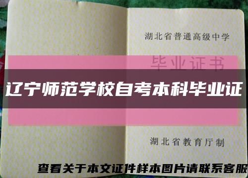 遼寧師范學校自考本科畢業證縮略圖