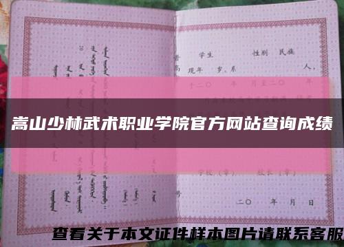 嵩山少林武術職業學院官方網站查詢成績縮略圖