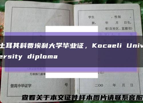 土耳其科賈埃利大學畢業證，Kocaeli University diploma縮略圖