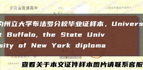 紐約州立大學布法羅分校畢業證樣本，University at Buffalo, the State University of New York diploma縮略圖