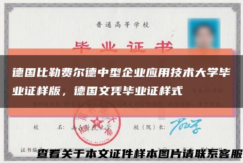 德國比勒費爾德中型企業應用技術大學畢業證樣版，德國文憑畢業證樣式縮略圖