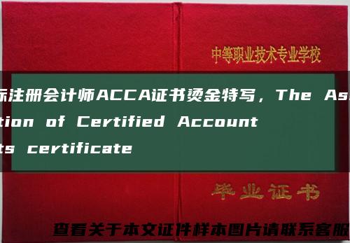 國際注冊會計師ACCA證書燙金特寫，The Assoication of Certified Accountants certificate縮略圖