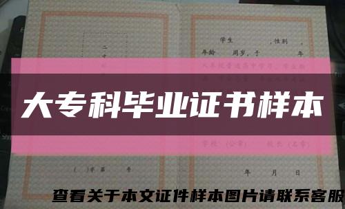 大?？飘厴I證書樣本縮略圖