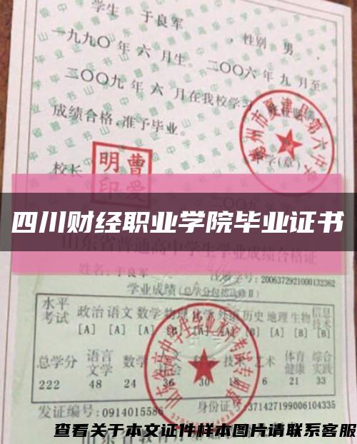 四川財經職業學院畢業證書縮略圖