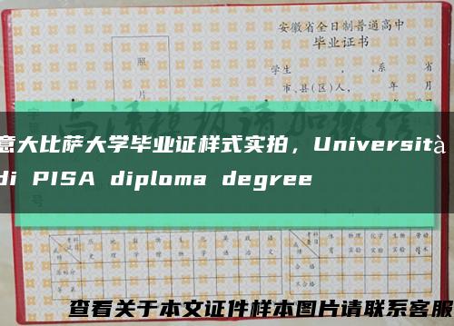 意大比薩大學畢業證樣式實拍，Università di PISA diploma degree縮略圖