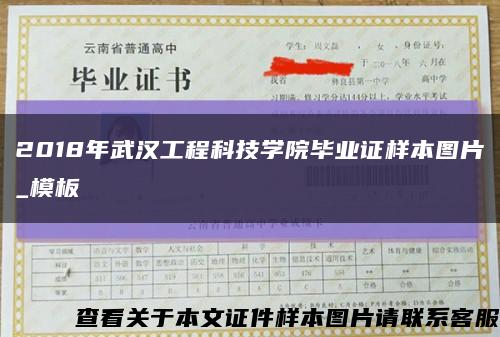 2018年武漢工程科技學院畢業證樣本圖片_模板縮略圖