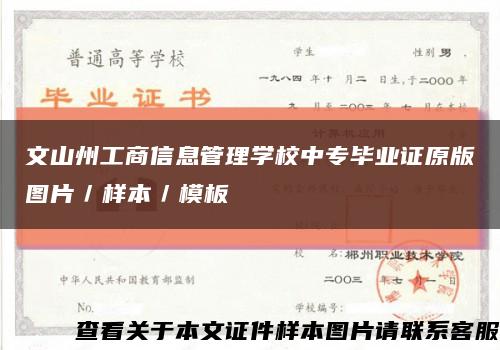 文山州工商信息管理學校中專畢業證原版圖片／樣本／模板縮略圖