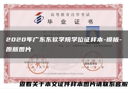 2020年廣東東軟學院學位證樣本-模板-原版圖片縮略圖