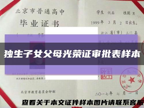 獨生子女父母光榮證審批表樣本縮略圖