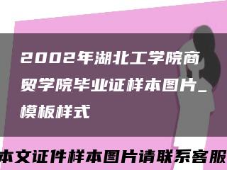2002年湖北工學院商貿學院畢業證樣本圖片_模板樣式縮略圖
