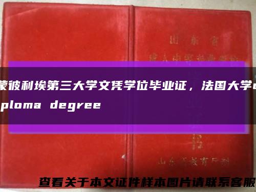 蒙彼利埃第三大學文憑學位畢業證，法國大學diploma degree縮略圖