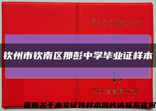 欽州市欽南區那彭中學畢業證樣本縮略圖