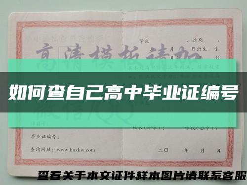 如何查自己高中畢業證編號縮略圖