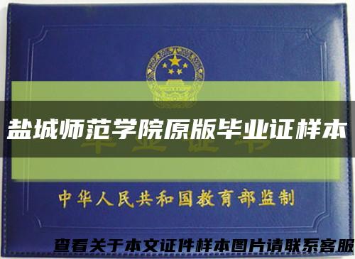 鹽城師范學院原版畢業證樣本縮略圖