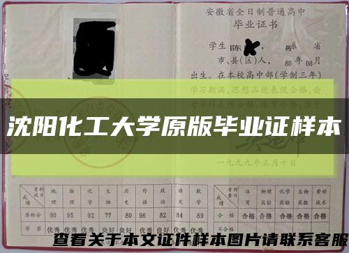 沈陽化工大學原版畢業證樣本縮略圖