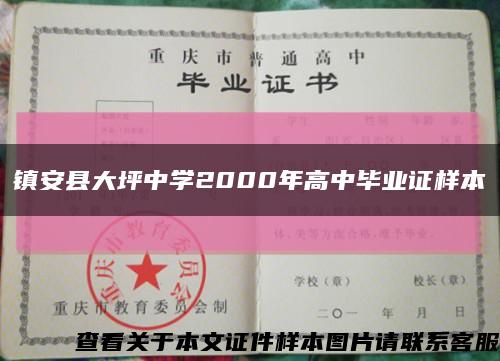 鎮安縣大坪中學2000年高中畢業證樣本縮略圖