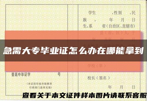 急需大專畢業證怎么辦在哪能拿到縮略圖