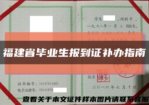 福建省畢業生報到證補辦指南縮略圖