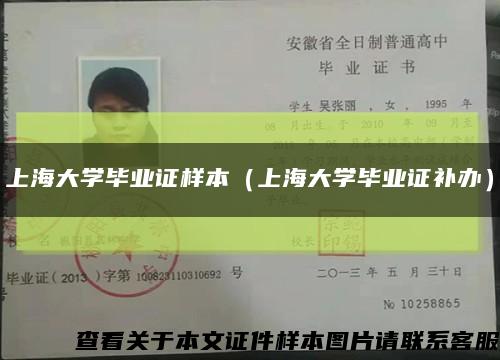 上海大學畢業證樣本（上海大學畢業證補辦）縮略圖