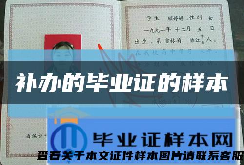 補辦的畢業證的樣本縮略圖