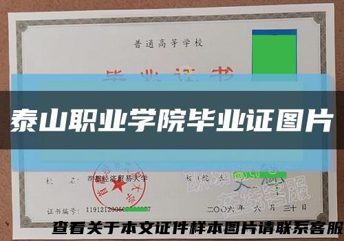 泰山職業學院畢業證圖片縮略圖