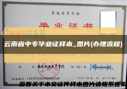 云南省中專畢業證樣本_圖片(辦理流程)縮略圖