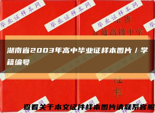 湖南省2003年高中畢業證樣本圖片／學籍編號縮略圖