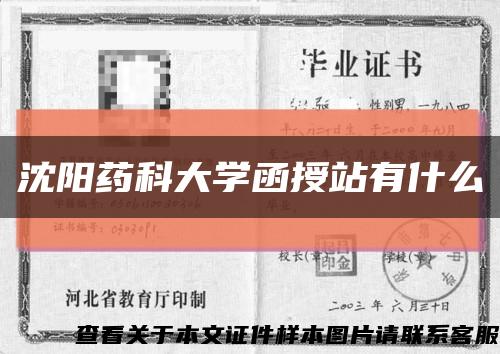 沈陽藥科大學函授站有什么縮略圖