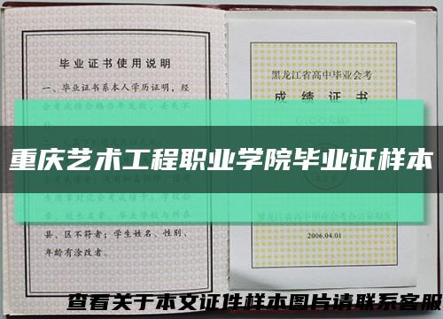 重慶藝術工程職業學院畢業證樣本縮略圖