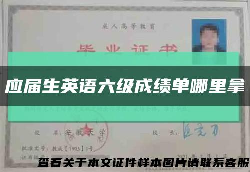 應屆生英語六級成績單哪里拿縮略圖